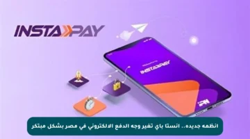 أنظمة جديدة.. انستا باي تغير وجه الدفع الإلكتروني في مصر بشكل مبتكر